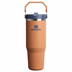 Stanley IceFlow 2.0 Flip Straw Tumbler with Handle 30 oz | Twist On Lid and Flip Up Straw | Leak Resistant Water Bottle | Ins ...