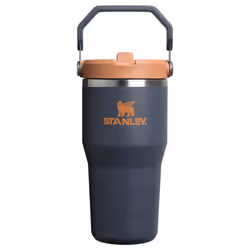 Stanley IceFlow 2.0 Flip Straw Tumbler with Handle 20 oz | Twist On Lid and Flip Up Straw | Leak Resistant Water Bottle | Ins ...