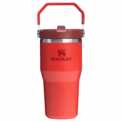Stanley IceFlow 2.0 Flip Straw Tumbler with Handle 20 oz | Twist On Lid and Flip Up Straw | Leak Resistant Water Bottle | Ins ...