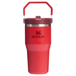 Stanley IceFlow 2.0 Flip Straw Tumbler with Handle 20 oz | Twist On Lid and Flip Up Straw | Leak Resistant Water Bottle | Insulated Stainless Steel |