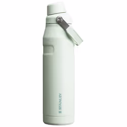 Stanley IceFlow Fast Flow Water Bottle 24 oz | Angled Spout Lid | Lightweight and Leakproof for Travel and Sports | Insulated ...