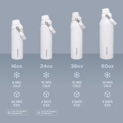 Stanley IceFlow Fast Flow Water Bottle 24 oz | Angled Spout Lid | Lightweight and Leakproof for Travel and Sports | Insulated Stainless Steel | BPA-Fr