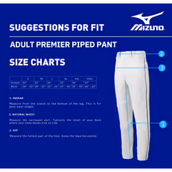Mizuno Premier Piped Pant (Gray/Navy  XX-Large)