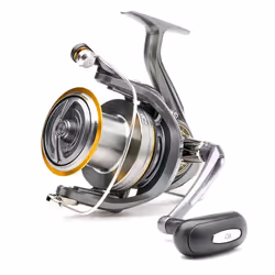 Daiwa Shorecast 6000B