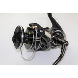 Daiwa 20 BG MQ Power Reel 8000