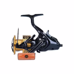 Daiwa 20 GS BR LT 3000