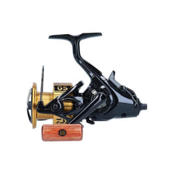 Daiwa 20 GS BR LT 3000