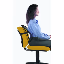 Fellowes Office Suites Mesh Back Support