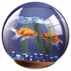 Fellowes Round Brite Mat Goldfish Bowl, Multicolour, Image, Plastic