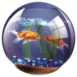 Fellowes Round Brite Mat Goldfish Bowl