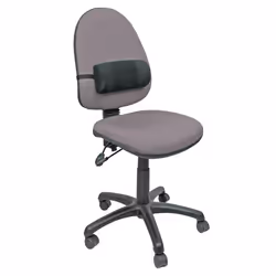 Fellowes Lumbar Support