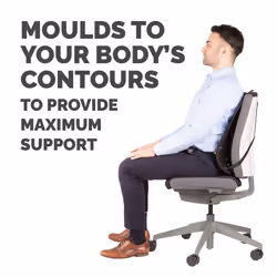 Fellowes Back Support for Office Chair - Professional Series Mesh Office Chair Back Support - Easy To Attach - H19.53 x W30.32 x D36.99cm - Additional view 4