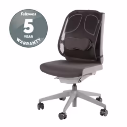 Fellowes Back Support for Office Chair - Professional Series Mesh Office Chair Back Support - Easy To Attach - H19.53 x W30.32 x D36.99cm - Additional view 8