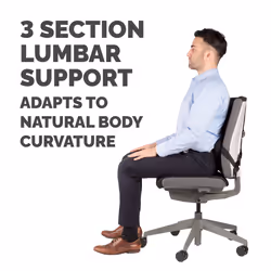 Fellowes Back Support for Office Chair - Professional Series Ultimate Back Support with Antibacterial Protection - H36.5 x W37.5 x D5.5cm - Additional view 4