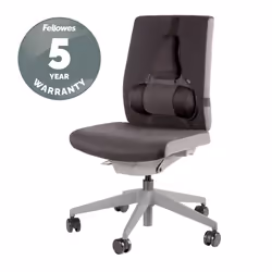 Fellowes Back Support for Office Chair - Professional Series Ultimate Back Support with Antibacterial Protection - H36.5 x W37.5 x D5.5cm - Additional view 7