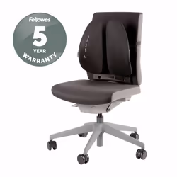 Fellowes Back Support for Office Chair - Back Angel Office Chair Back Support with 7 Height Adjustments - H37.94 x W43.97 x D13.97cm - Additional view 6