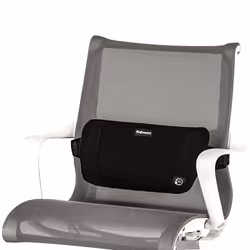 Fellowes 8026501 chair back support Black - Additional view 8