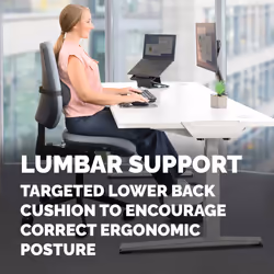 Fellowes Back Support for Office Chair Breyta Lumbar Cushion - Additional view 6
