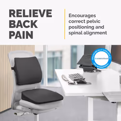 Fellowes Seat Cushion for Office Chair Breyta Wedge Seat Cushion with Coccyx Cut Out