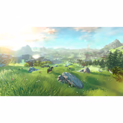 Nintendo The Legend of Zelda : Breath of the Wild Wii U