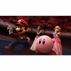 Nintendo Super Smash Bros. Brawl Select, Wii