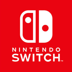 Nintendo Switch 1.1 Gris Standard Nintendo Switch