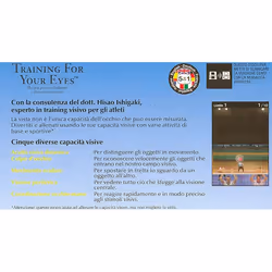 Nintendo Nds Training For Your Eyes Ds Standard Nintendo DS