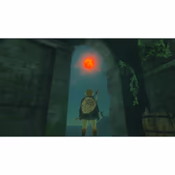 Nintendo The Legend of Zelda: Tears of the Kingdom Standard Traditional Chinese, German, Dutch, English, Spanish, French, Italian, Japanese, Korean, Russian Nintendo Switch - Additional view 6