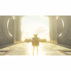 Nintendo The Legend of Zelda: Tears of the Kingdom Standard Nintendo Switch