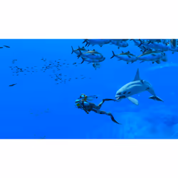 Nintendo Endless Ocean™ Luminous