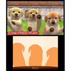 Nintendo Nintendogs+Cats - Toy Poodle, 3DS Nintendo 3DS