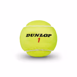 Dunlop Sports ATP Championship Regular Duty Tennis Balls - Case of 24 cans (72 Balls)