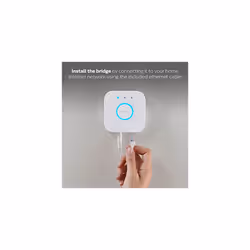 Philips Hue 046677458478 smart home light controller White