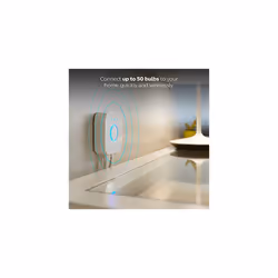 Philips Hue 046677458478 smart home light controller White