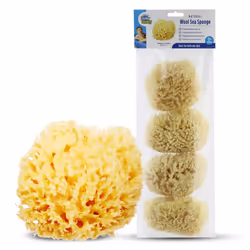 Baby Buddy Natural Wool Sea Sponge  Newborn Bath Time Essential  Ultra