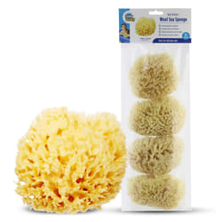 Baby Buddy Natural Wool Sea Sponge  Newborn Bath Time Essential  Ultra