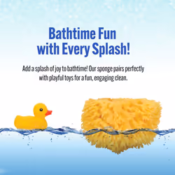 Baby Buddy Natural Wool Sea Sponge  Newborn Bath Time Essential  Ultra