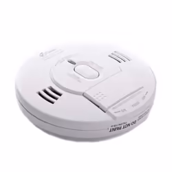10SCO Combination Smoke and Carbon Monoxide Alarm with Voice Notification