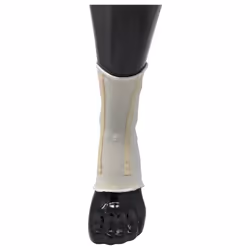 Champion Ankle Brace  Open Heel  Flexible Stays  Knit Elastic  Medium
