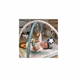 Nuby Animal Adventures Baby Play Mat â Toy Activity Gym with Sensory Toys and Padded Base for Tummy Time, One Size