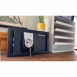 Sentry Safe Department of Justice Certified Safe Box with Key