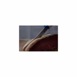 Professional Stainless Steel Chefs Steak Knives - 8-inch (200mm), Red