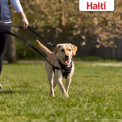 HALTI Training Lead - Professional Dog Lead to Stop Pulling on the Lead, Perfect for Puppy Walks, Easy to Use Double-Ended Dog Leash, Lightweight Soft