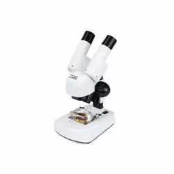 Celestron Labs S20 Angled Stereo Microscope
