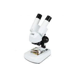 Celestron Labs S20 Angled Stereo Microscope