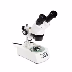 Celestron LABS S10-60 60x Optical microscope