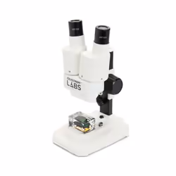 Celestron Labs S20 Stereo Microscope