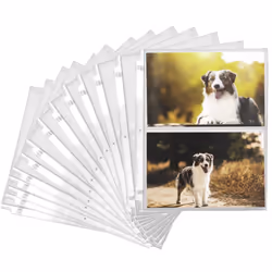 Samsill 100 Pack 5x7 Photo Album Refills  100 Pictures  3-Ring Binder Photo Sleeve Inserts  2 Pocket Photo Page for 5x7 Photo ...