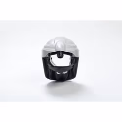 3M Versaflo Respiratory Faceshield Assembly M-206/37299(AAD)  with Comfort Faceseal  1 EA/Case