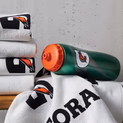 Gatorade New England Patriots Towel